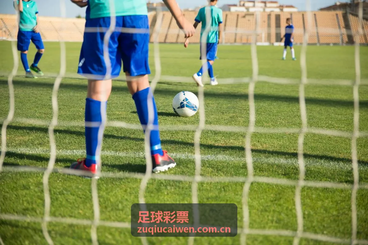 足球彩票专家推荐服务